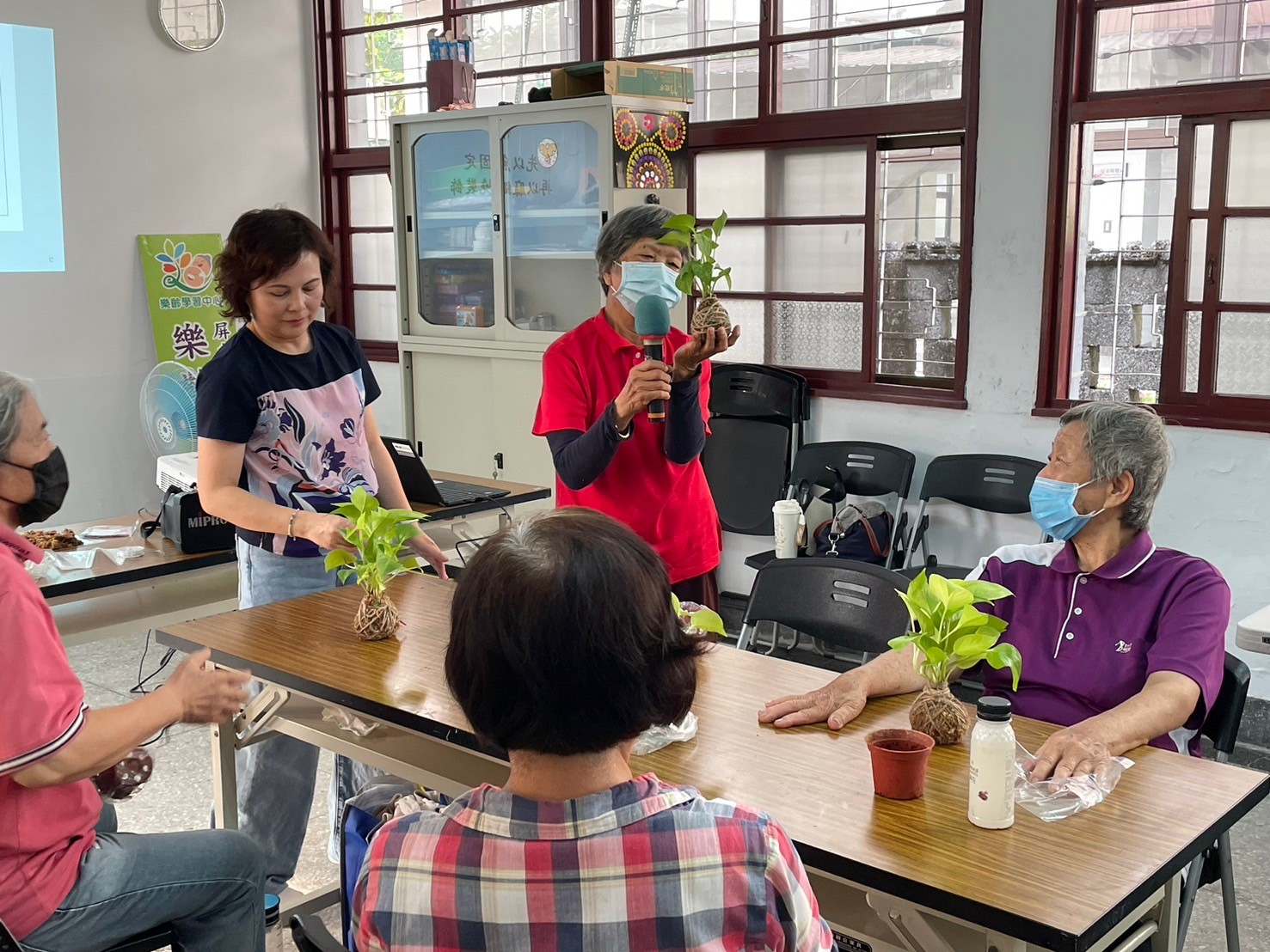 療癒植栽(標題圖檔)